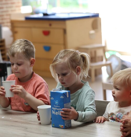 Kindcentrum De Lisdodde